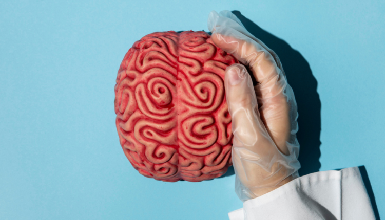 O que é 'cérebro podre' Entenda o fenômeno 'brain rot' eleito a palavra do ano