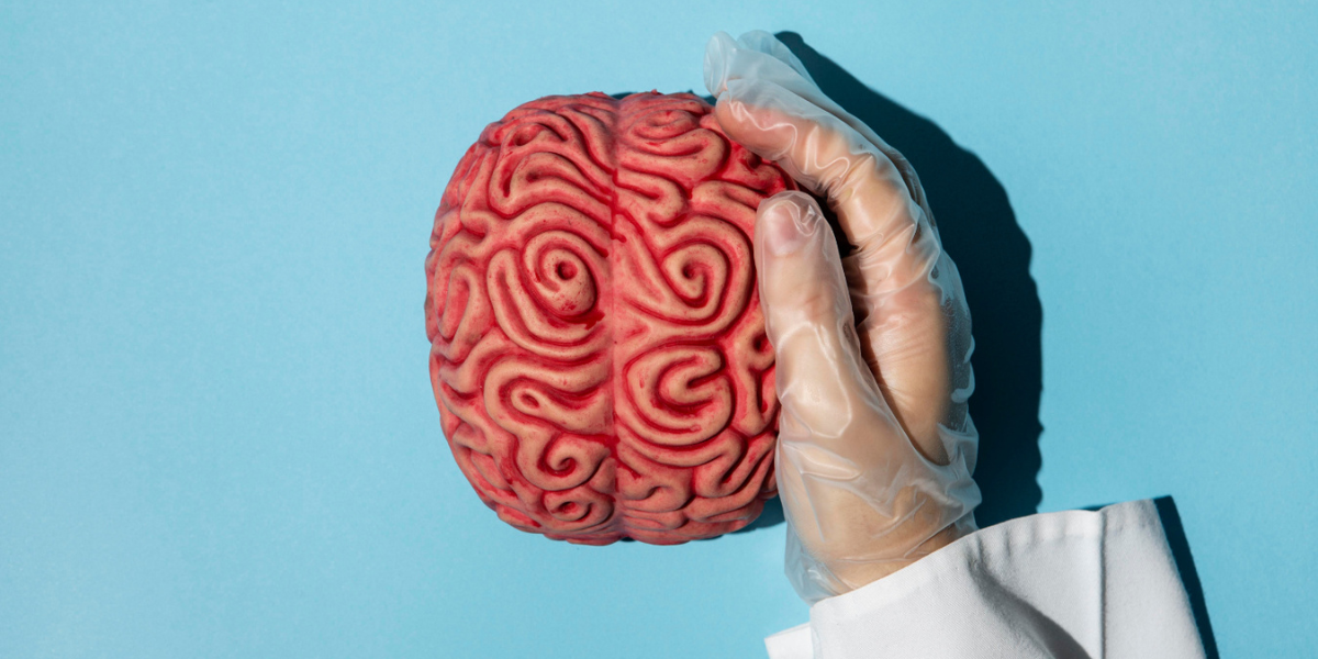 O que é 'cérebro podre' Entenda o fenômeno 'brain rot' eleito a palavra do ano