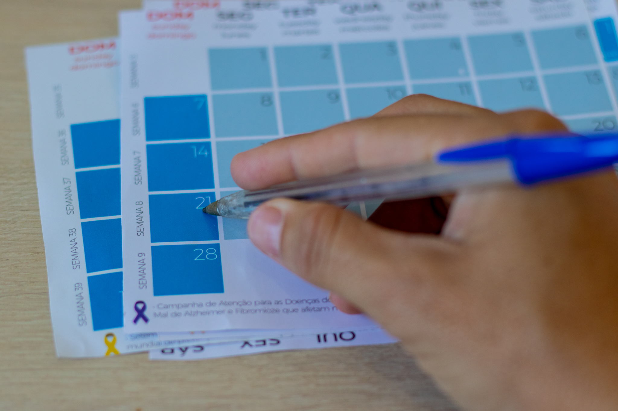 Está se preparando para os feriados de 2025? Confira as datas para descansar!