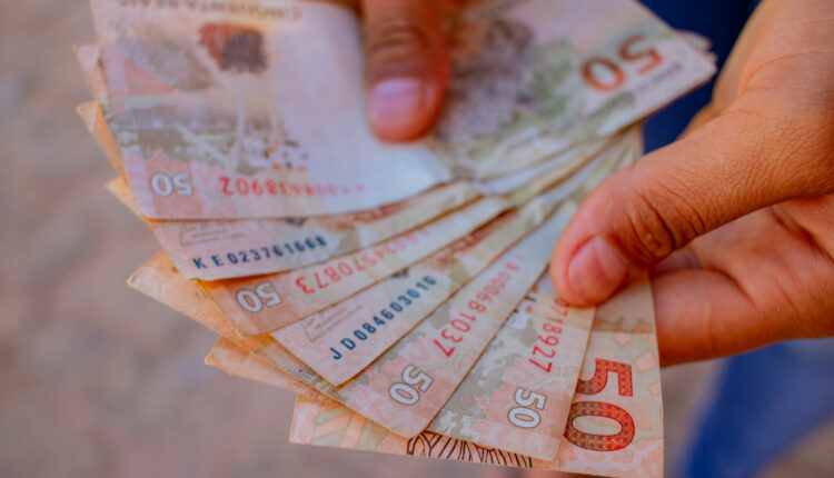 Se você quer consultar o benefício Garantia Safra, veja como ele funciona.