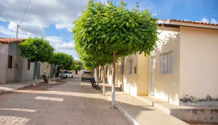 Cortar árvores em calçadas.