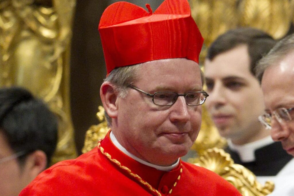 Cardeal Willem Eijk. / Foto: Claudio Peri/EFE/EPA
