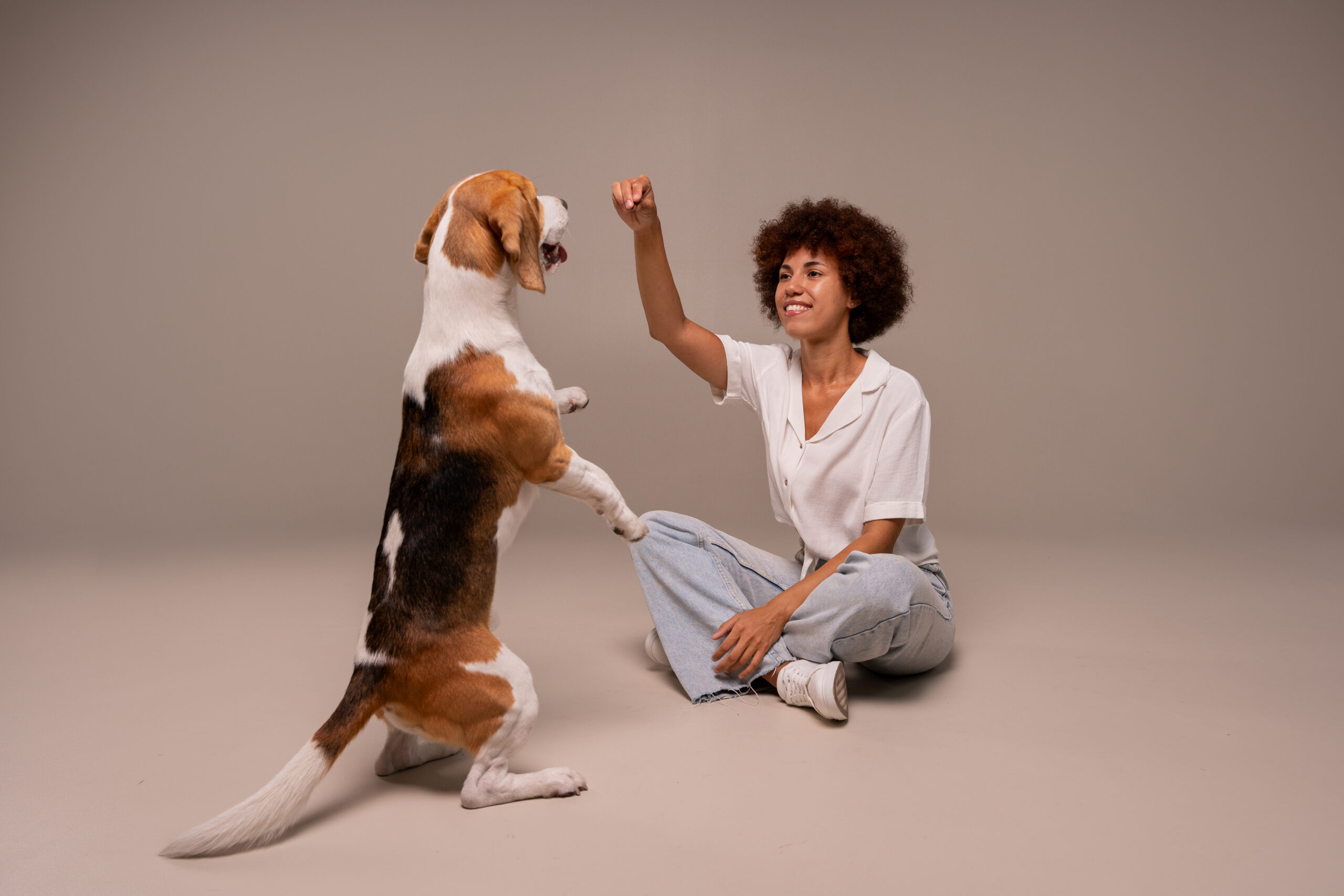 Adestramento Canino