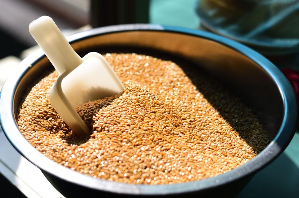 Quer saber qual o benefício da linhaça? Entenda como esse alimento atua no seu corpo.