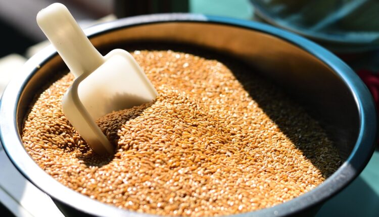 Quer saber qual o benefício da linhaça? Entenda como esse alimento atua no seu corpo.