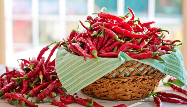 Quer saber qual o benefício da pimenta? Veja detalhes e comece a consumir!