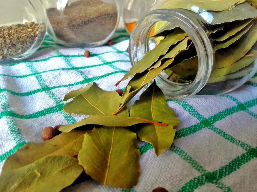 Conhecer o benefício do louro ajuda a incorporar o alimento na dieta. Conheça alguns deles.