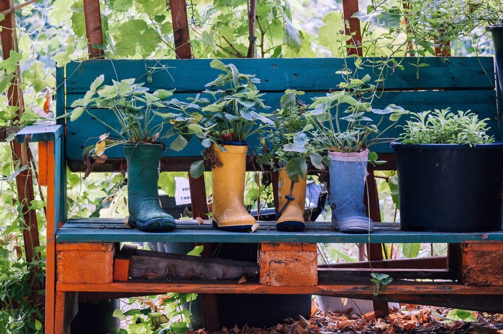 Se você quer cultivar plantas medicinais, veja as dicas e quais as melhores para começar.