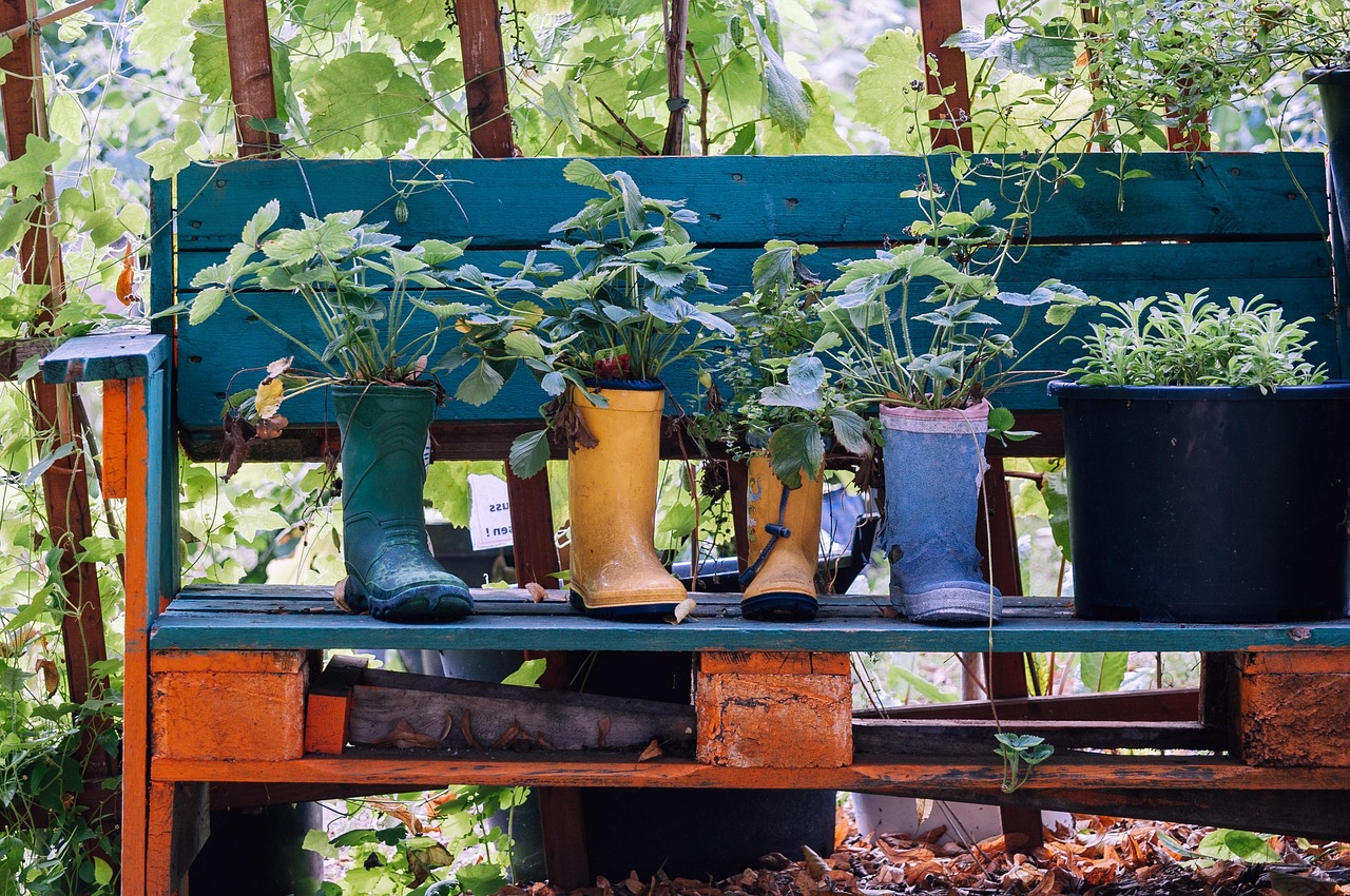 Se você quer cultivar plantas medicinais, veja as dicas e quais as melhores para começar.