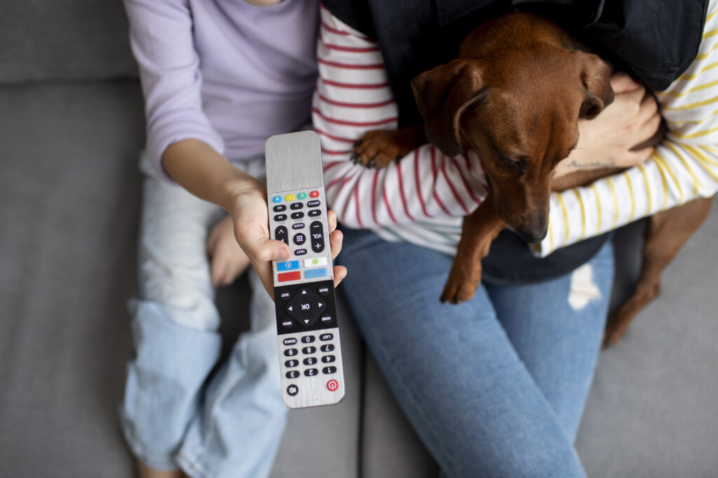 TV para cachorro