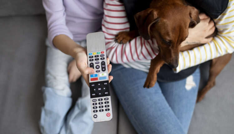 TV para cachorro