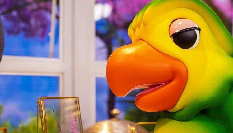 Globo renova contrato com Louro Mané do 'Mais Você'; salário do 'neto' de Ana Maria Braga na TV é revelado. Descubra!