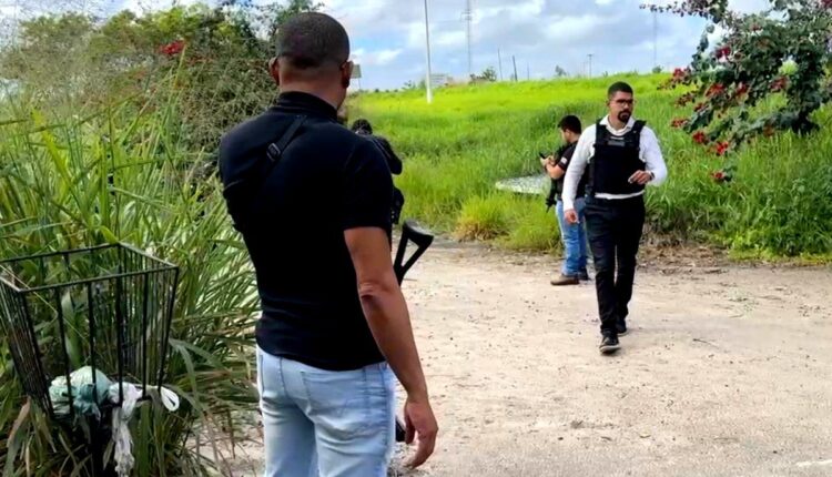 Mulher é encontrada esquartejada em rua do bairro Delta Park