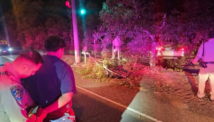 Racha em Modesto, Califórnia, termina com Mustang e Camaro apreendidos – Fipe Carros