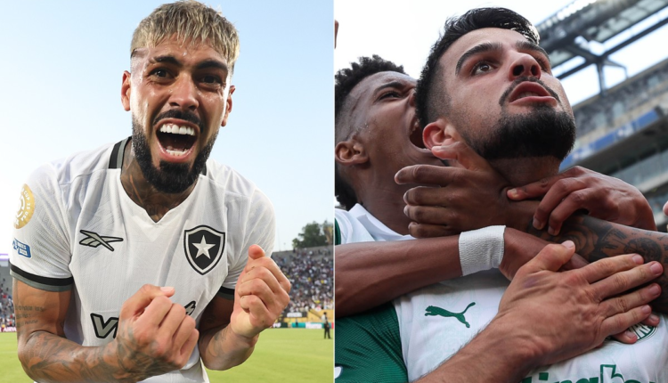 do que Botafogo e Palmeiras precisam para se classificar