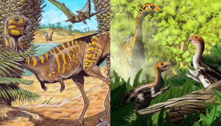 Dinossauros do Brasil e da Mongólia desenvolveram estratégias iguais para sobreviver no deserto