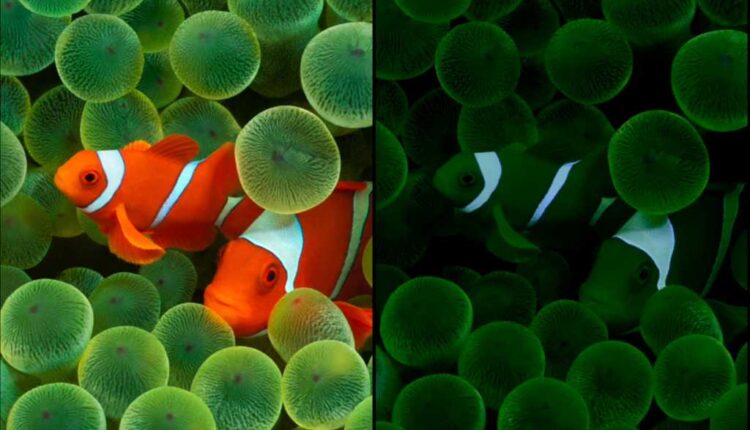 Normal and Sleep versions of iOS 16 wallpaper on iPhone 14 Pro