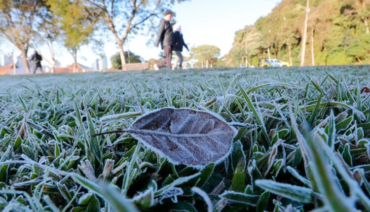 Curitiba pode ter geada após nova madrugada congelante