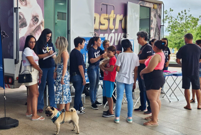 Mutirão de castração gratuita para cães e gatos neste sábado em shopping