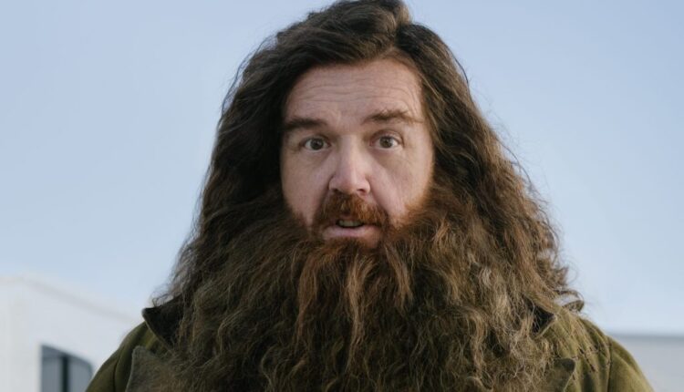 Rubeus Hagrid Nick Frost Image Revealed By HBO's Harry Potter