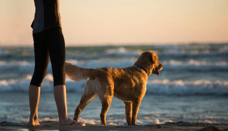 Foto: Trinity Kubassek via Pexels