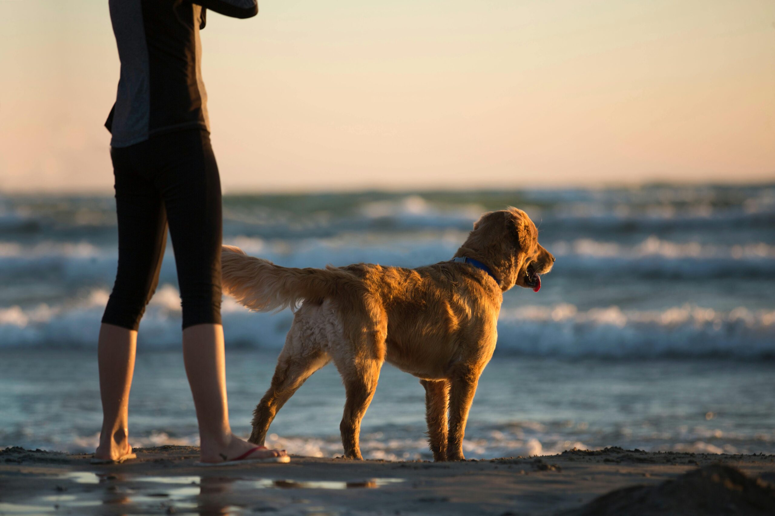 Foto: Trinity Kubassek via Pexels