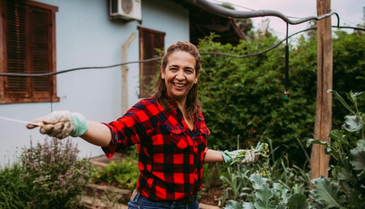 Fonte: Helena Lopez no Pexels