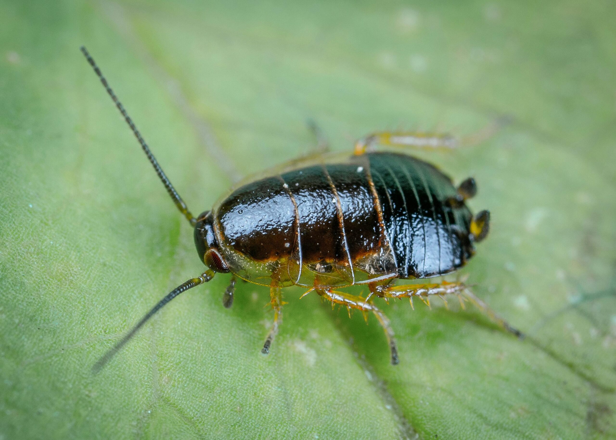 Foto: Egor Kamelev via Pexels