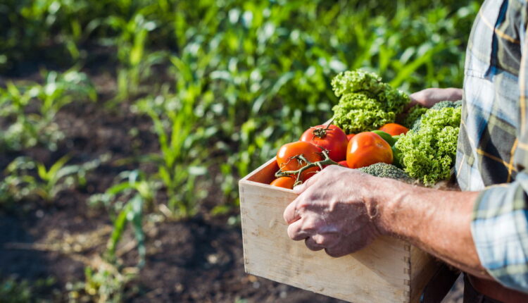 O segredo do agro que a Serasa revelou e você precisa saber