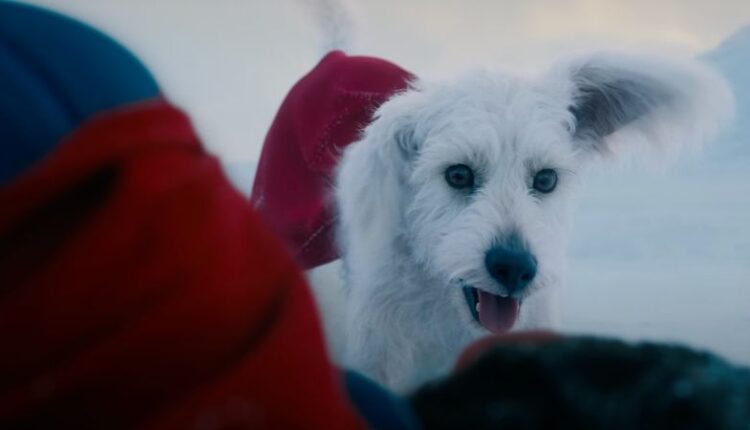 Krypto: The real-life inspiration behind Superman’s canine