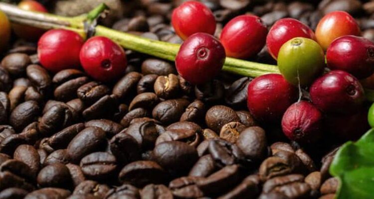 Commodities: Café dispara com temor de tarifa dos EUA