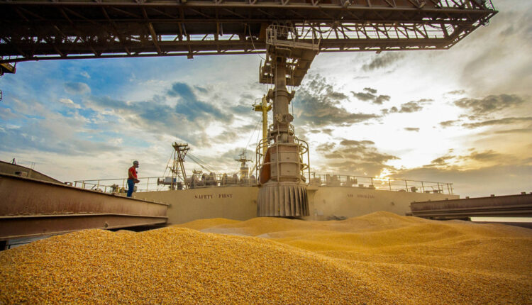 Commodities: Milho cai com safra forte e fraca exportação