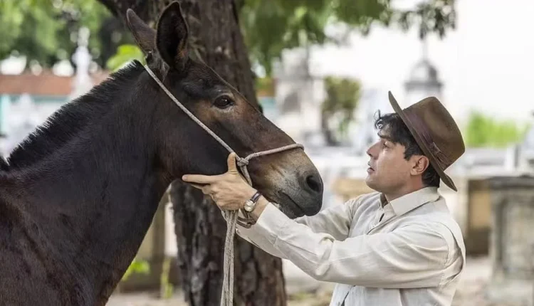 Candinho e o burro Policarpo. Foto: Divulgação