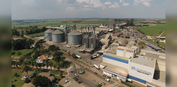 Castrolanda multiplica atividades para ganhar mercados