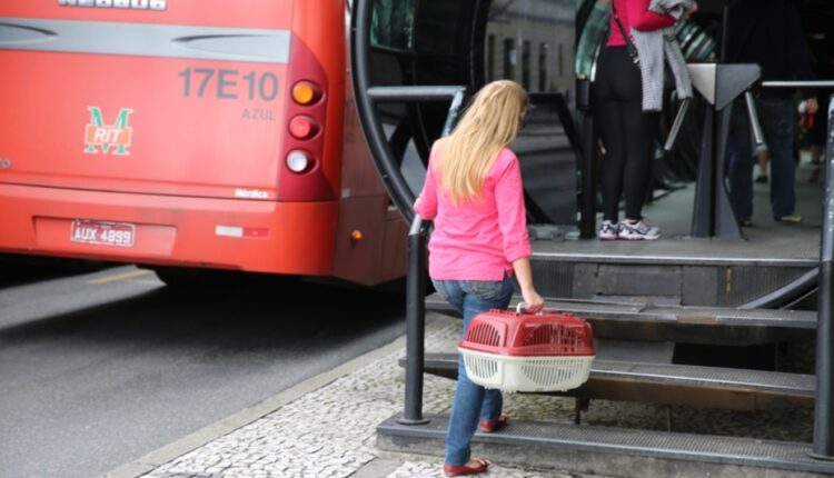 Vereadores aprovaram em 1º turno revisão da lei do transporte coletivo de Curitiba