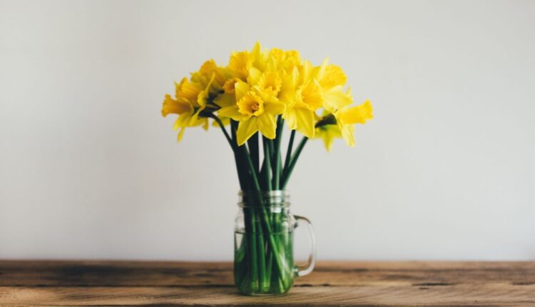 Fonte: Canva
