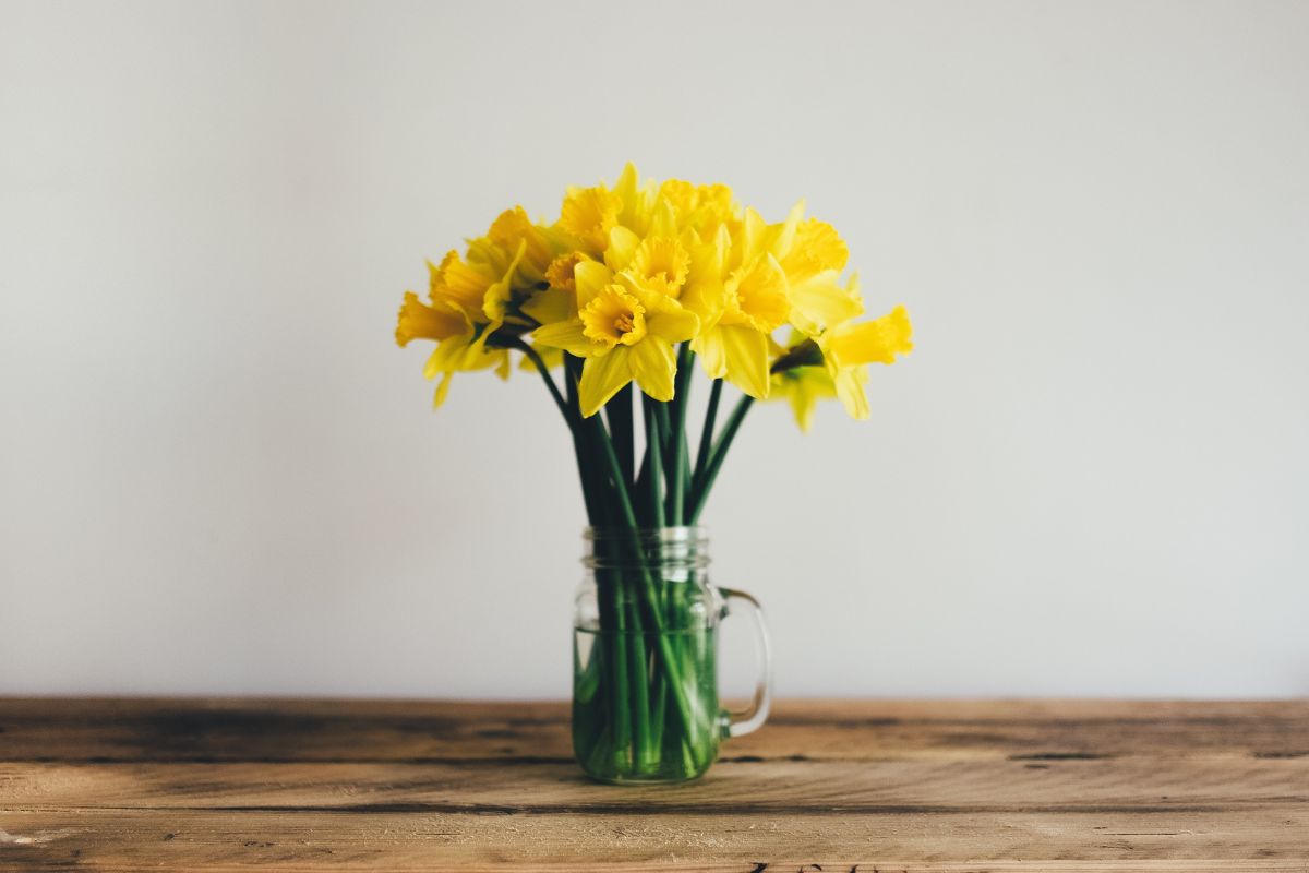 Fonte: Canva
