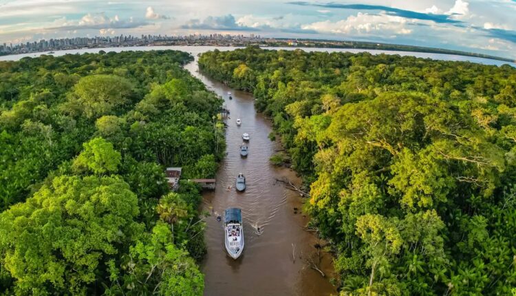 Anunciado por Lula, Fundo Florestas Tropicais só funcionará se exploração na Amazônia cessar, analisa pesquisador