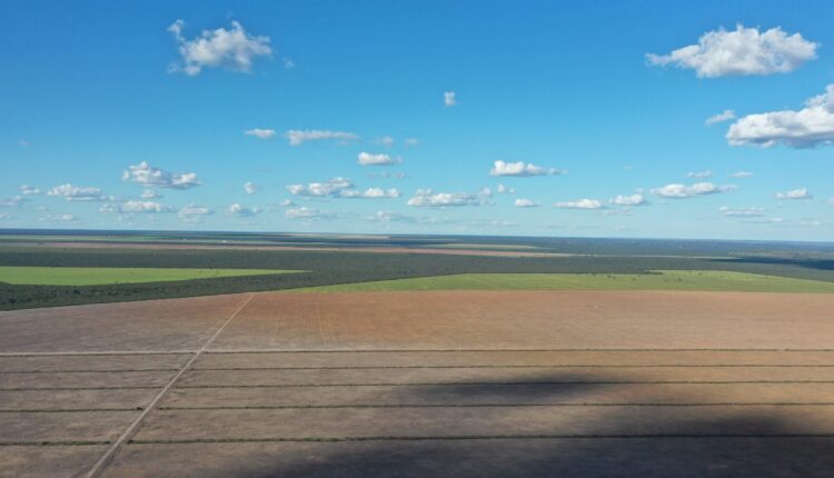 Dos 30 mil projetos em tramitação no Congresso, somente oito propõem ações para a preservação do Cerrado