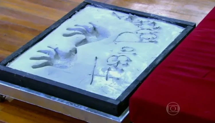 Foto: Reprodução/Video Show (Globo)