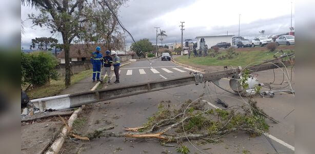 Idoso tem mal súbito, colide contra poste e causa grave acidente em PG