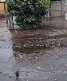 Chuva forte causa alagamentos e queda de árvore em Campo Grande