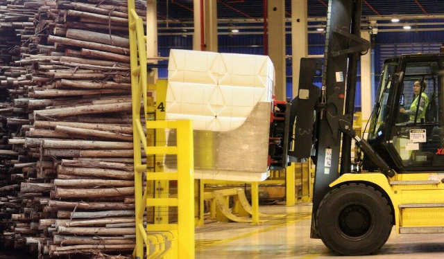 MS alcança superávit de US$ 6,34 bi com celulose liderando exportações