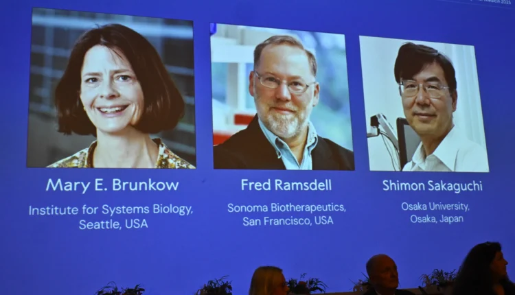Nobel de Medicina premia descoberta sobre como o sistema imunológico evita atacar o próprio corpo