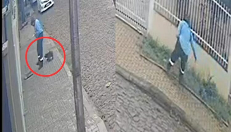 funcionário da sanepar mata cachorro