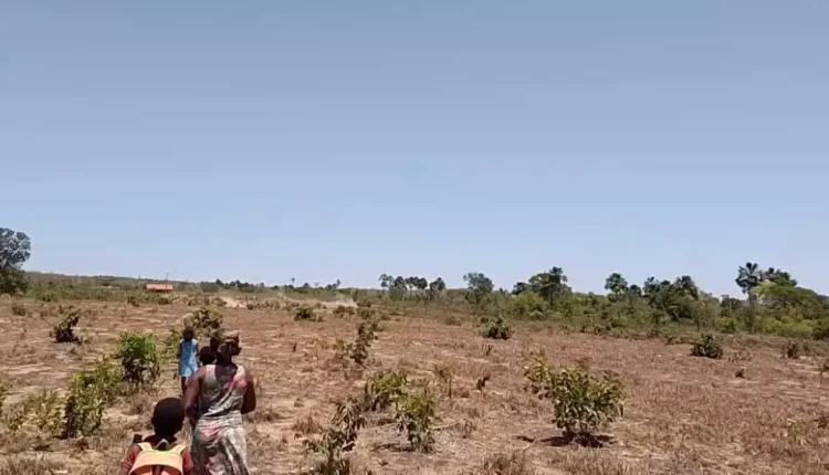 No Tocantins, empresa descumpre liminar, invade quilombo e aterra córrego do território — Brasil de Fato