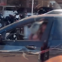 Ataque de abelhas causa pânico e fecha comércios em Campo Grande neste sábado