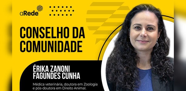 Estradas com má conservação também afetam o bem-estar dos animais