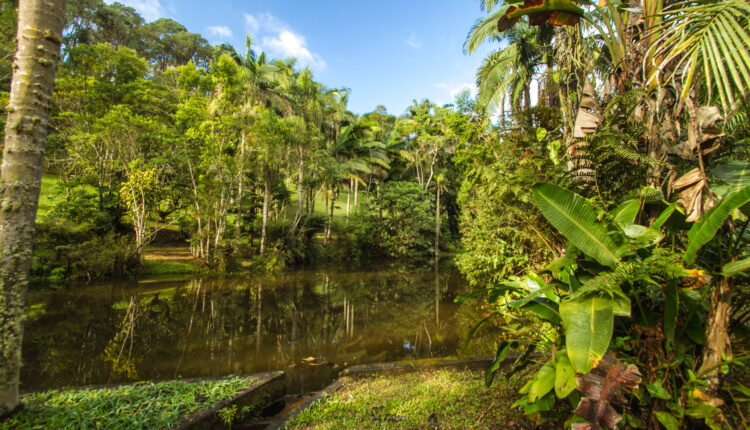 Parque Natural Itaim