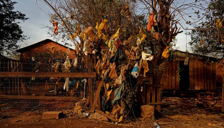 Documentário de Mirian Fichtner aborda traumas dos afetados pela enchente de maio de 2024